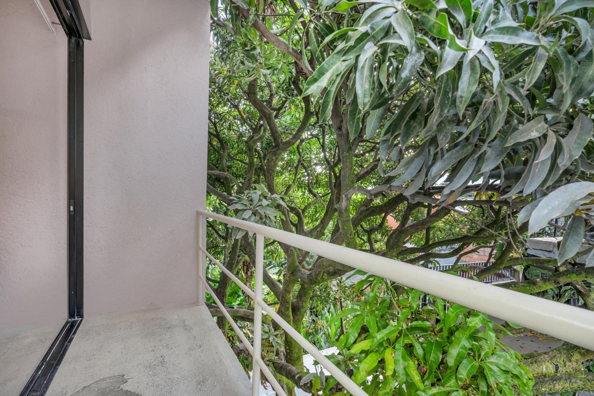 Botanica Casa Hotel Manila By Housy Host Medellín Exteriér fotografie